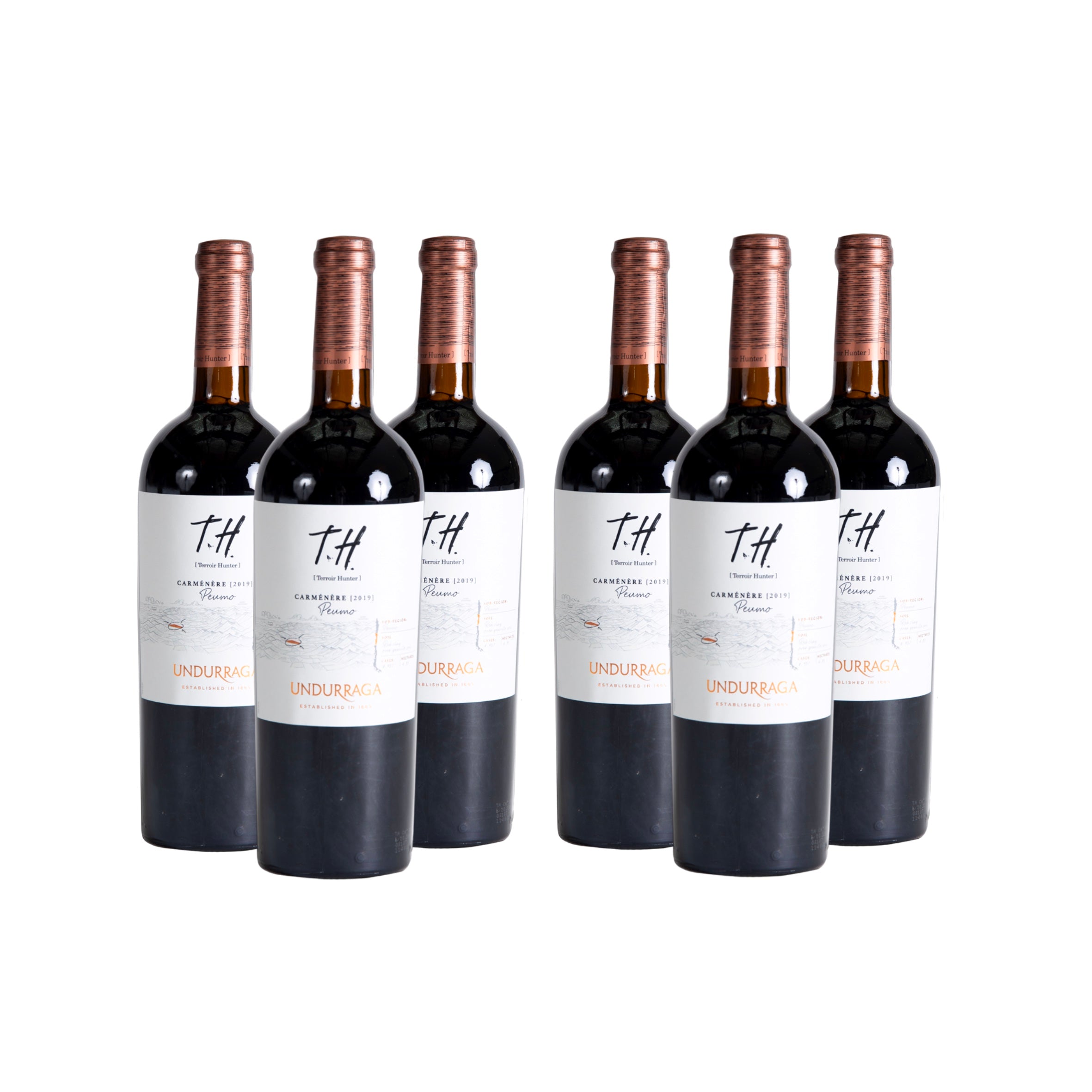 PACK 6 VINO UNDURRAGA TH CARMENERE