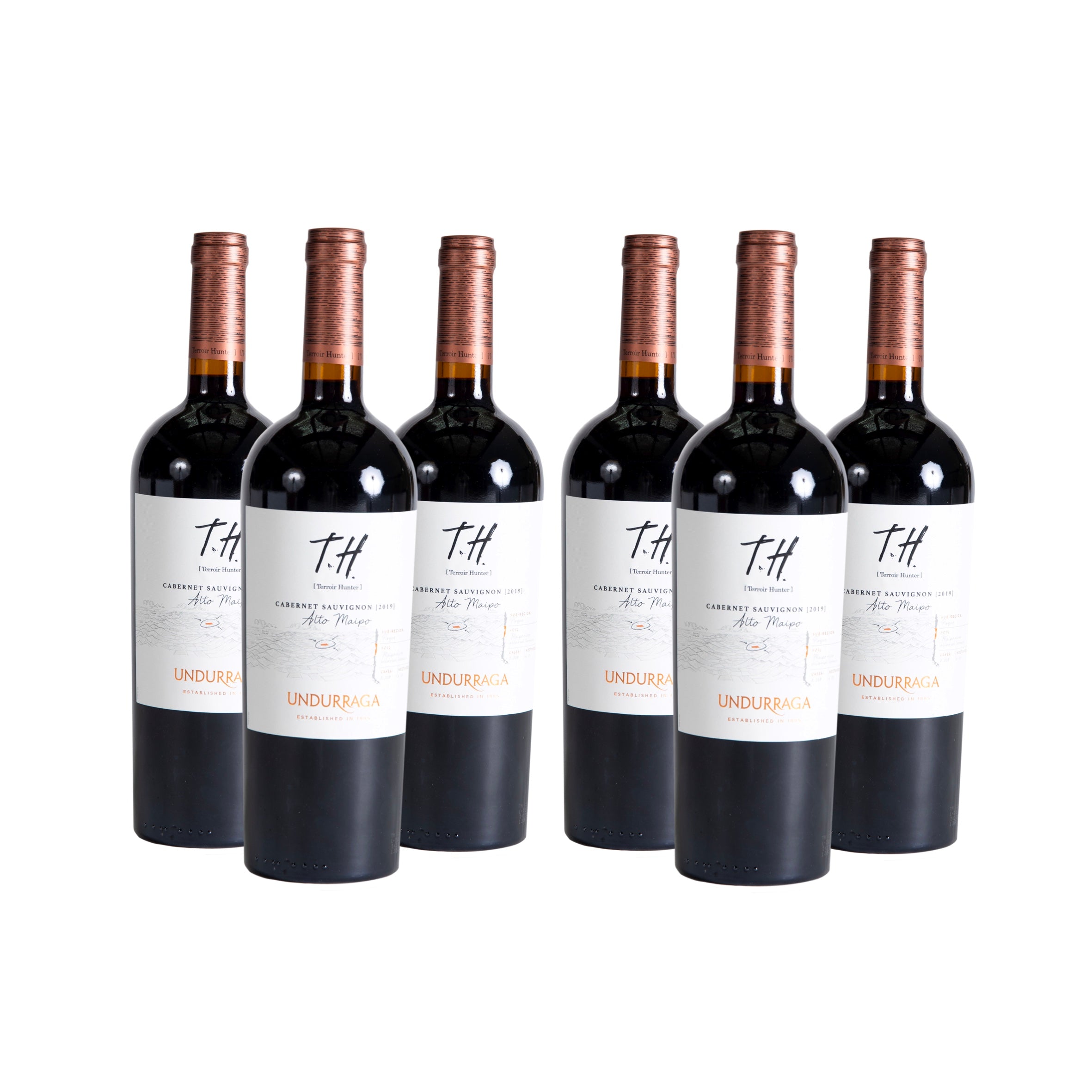 PACK 6 VINOS UNDURRAGA TH CABERNET SAUVIGNON